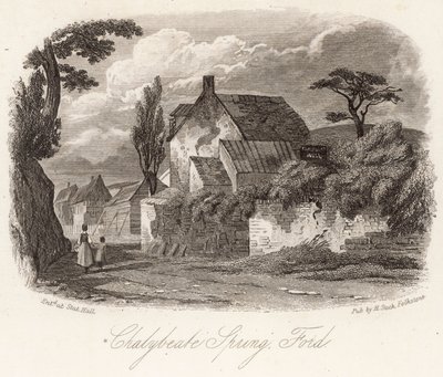 Chalybeate Spring Ford autorstwa English School