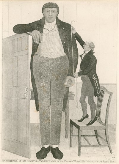 Charles Byrne, znany również jako OBrien the Irish Giant, najwyższy człowiek w znanym świecie, mający prawie dziewięć stóp wzrostu autorstwa English School