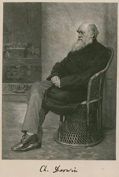 Karol Darwin autorstwa English School