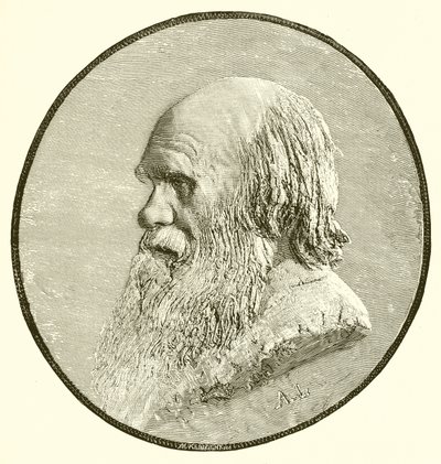 Karol Darwin autorstwa English School