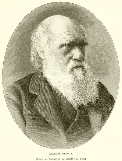 Karol Darwin autorstwa English School