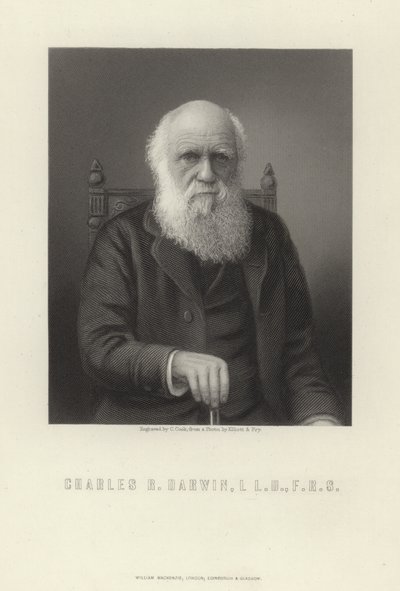 Karol R. Darwin autorstwa English School