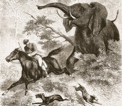 Ścigany przez słonia, ilustracja z The Pictorial Edition of the Life and Discoveries of David Livingstone autorstwa J. Ewing Richie, wyd. przez A. Fullartona & Co., 1876 autorstwa English School