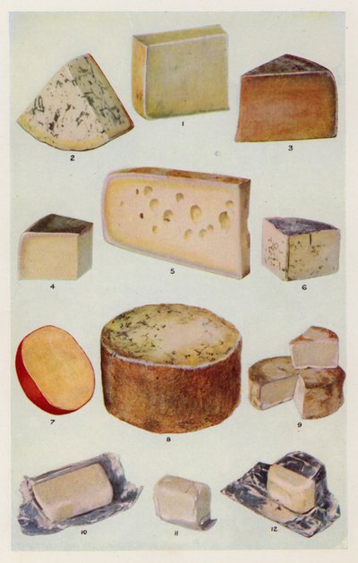 Cheddar; Gorgonzola; Double Gloster; Parmezan; Gruyere; Roquefort; Holenderski; Stilton; Camembert; St Ives; Śmietanka (kolorowa litografia) autorstwa English School