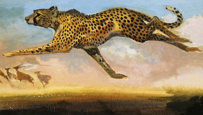 Gepard autorstwa English School