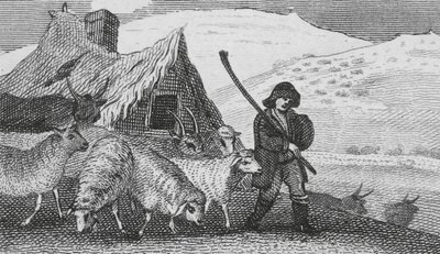 Pasterze Cheviot (grawerunek) autorstwa English School