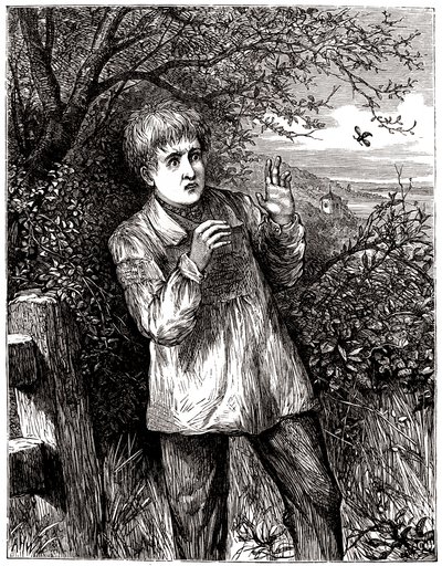 Kind erschreckt durch eine Biene - Illustration, Anfang 20. Jahrhundert von English School