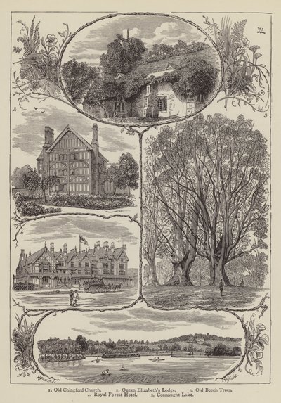 Chingford (grawerunek) autorstwa English School