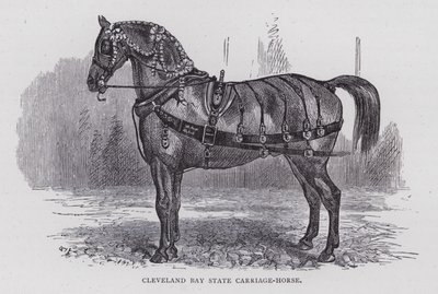 Cleveland Bay State Carriage-Horse (grawerowanie) autorstwa English School