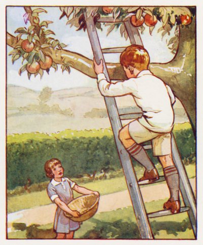 Polecenia: Ostrożnie wspinaj się po drabinie (kolorowa litografia) autorstwa English School