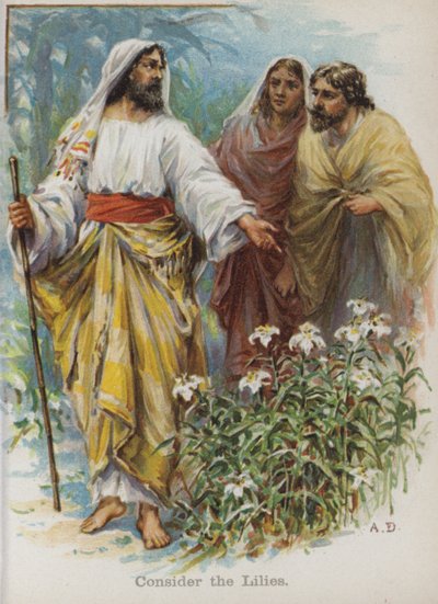 Rozważmy Lilie (chromolitho) autorstwa English School