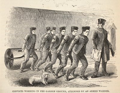 Skazani pracujący w ogrodzie, w towarzystwie uzbrojonego strażnika, ilustracja z The Criminal Prisons of London i Scenes from Prison Life Henry