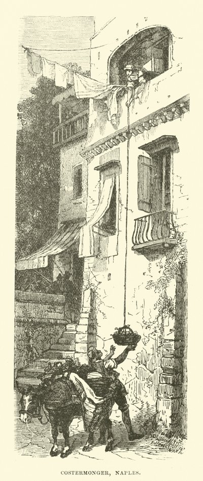 Costermonger, Neapol autorstwa English School