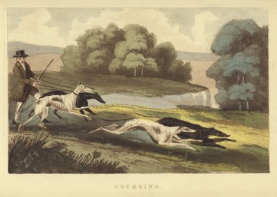 Coursing (kolorowe grawerowanie) autorstwa English School