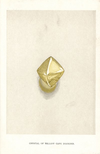 Kryształ żółtego diamentu Cape, z „Precious Stones and Gems” Edwina Streetera, Londyn, George Bell & Sons autorstwa English School