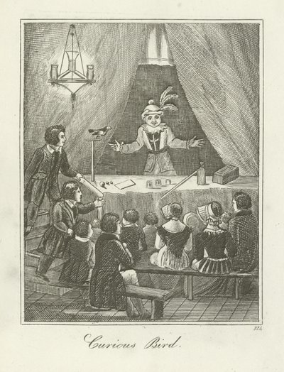 Ciekawski Ptak autorstwa English School