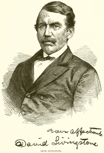 David Livingstone autorstwa English School