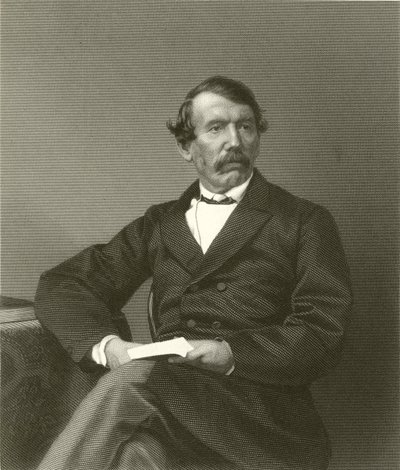 David Livingstone autorstwa English School