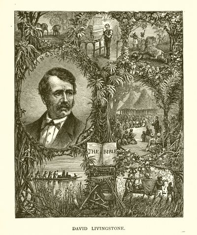 David Livingstone autorstwa English School
