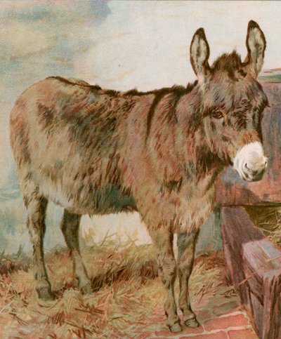 Drogi Stary Neddy autorstwa English School