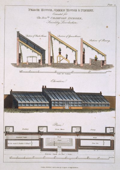 Projekt dla Peach House, Green House i Pinery, 1806 autorstwa English School