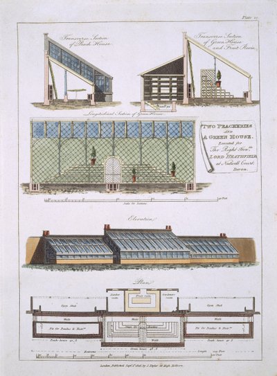 Projekt na dwie brzoskwinie i szklarnię, 1806 autorstwa English School