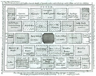 Projekt ukończonego ogrodu kuchennego, z New Principles of Gardening, Betty Langley, 1726 autorstwa English School