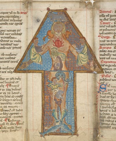 Fragment Zodiac Man, ilustracja ze „Składanego Almanachu Lekarza”, autorstwa Roberta Grosseteste autorstwa English School