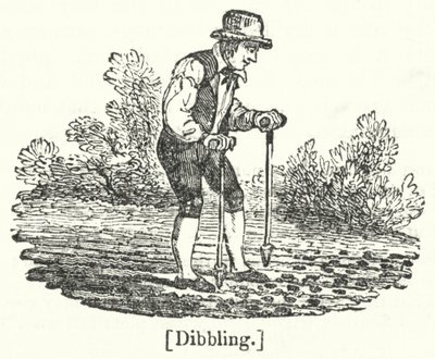 Dibbling autorstwa English School