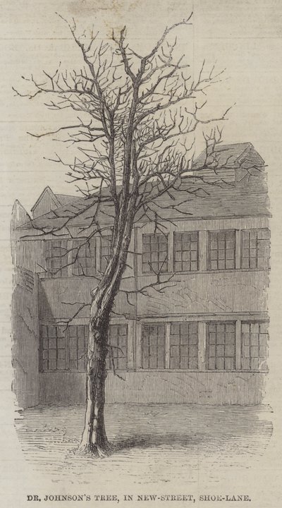 Drzewo Dr Johnsona, w New-Street, Shoe-Lane (grawerowanie) autorstwa English School