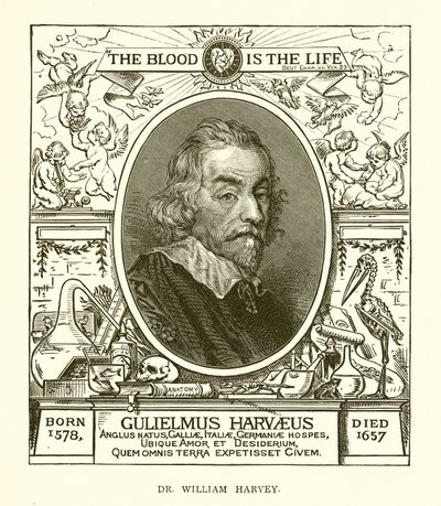 dr William Harvey autorstwa English School