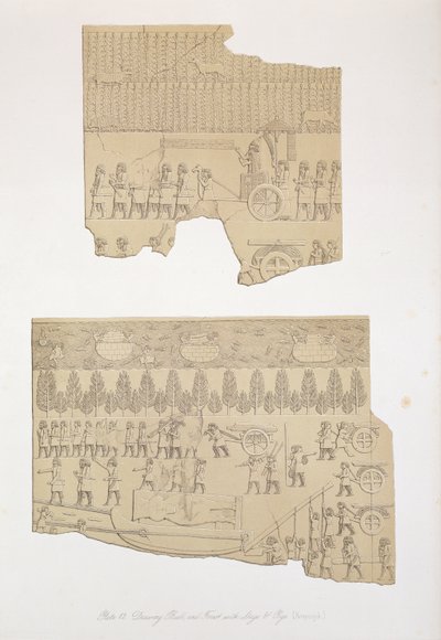 Drawing Bull and Forest with Stags and Pigs, Kouyunjik, tablica 12 z Niniwy i jej szczątków autorstwa Austena Henry