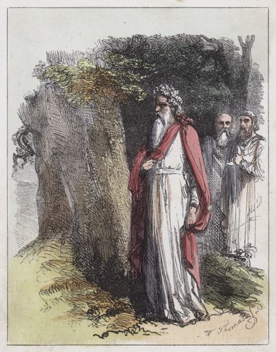 Druidzi (kolorowy grawerunek) autorstwa English School