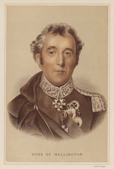 Duke of Wellington (kolor lito) autorstwa English School