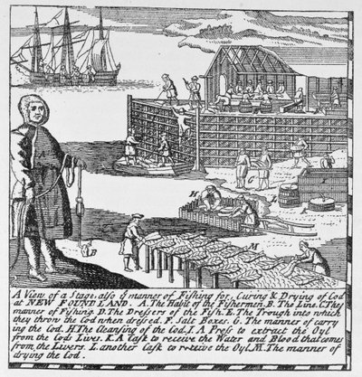 Early Fishing Stages, ilustracja z tomu IV „Narrative and Critical History of America”, 1886 autorstwa English School