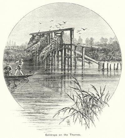 Pułapki na węgorze na Tamizie (rycina) autorstwa English School