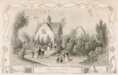 Elephant House w Surrey Zoological Gardens, Londyn autorstwa English School