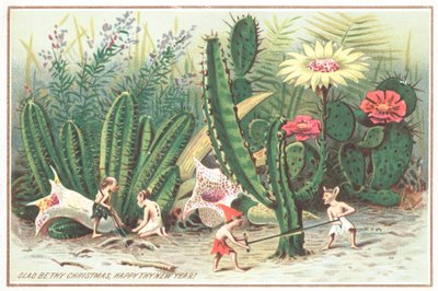 Elfy w ogrodzie, Kartka Świąteczna autorstwa English School