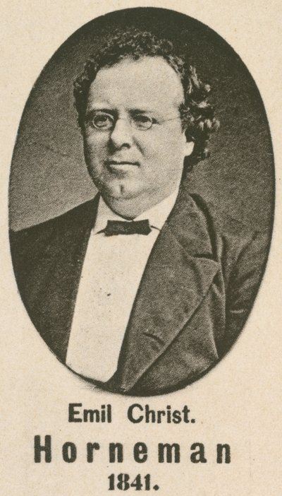 Emil Christian Horneman (grawiura) autorstwa English School