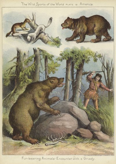 Spotkanie z grizzly autorstwa English School