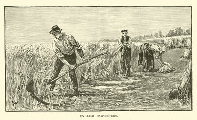 harwestery angielskie autorstwa English School