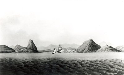 Wejście do portu w Rio de Janeiro (druk bw) autorstwa English School