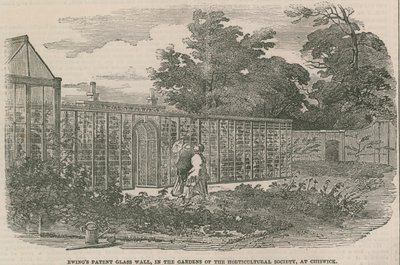 Ewings Patent Glass Wall, w ogrodach Towarzystwa Ogrodniczego w Chiswick autorstwa English School