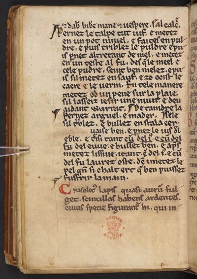 Fragmenty Historii Anglii Henryka z Huntingdon, Cotton MS Titus D XXIV, f.132v (welin) autorstwa English School