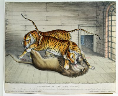 Nadzwyczajna i śmiertelna walka, 1830 (kolorowa lito) autorstwa English School