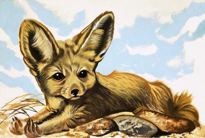 Fennec autorstwa English School