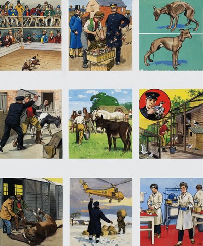 Od tego czasu do teraz: historia RSPCA autorstwa English School