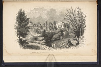Widok z przodu kaplicy i domu mieszkalnego w Sligoville (grawerowanie) autorstwa English School