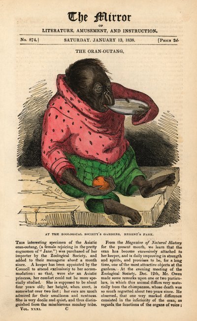 Strona tytułowa The Mirror z 13 stycznia 1838 z okazji przybycia orangutana do ogrodów Towarzystwa Zoologicznego w Regent