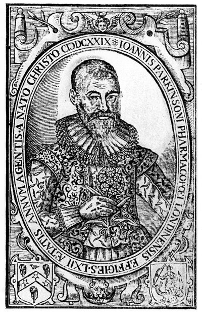 Frontispiece for Paradisi in Sole Paradisus Terrestris autorstwa Johna Parkinsona, opublikowany w 1629 r. autorstwa English School